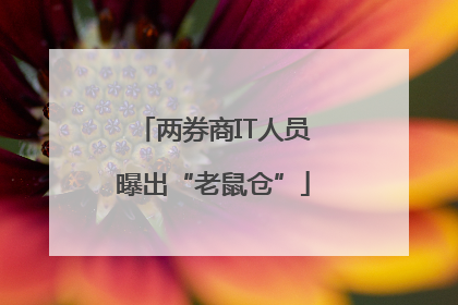 两券商IT人员曝出“老鼠仓”